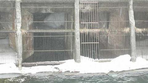 The Wall - The-Wall1.jpg