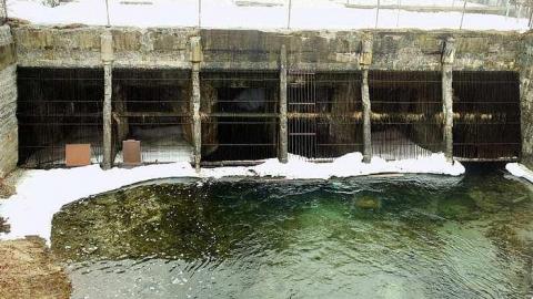 The Wall - The-Wall4.jpg