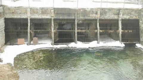 The Wall - The-Wall2.jpg