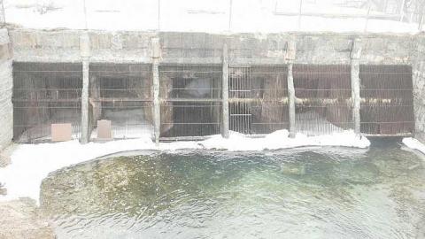 The Wall - The-Wall3.jpg