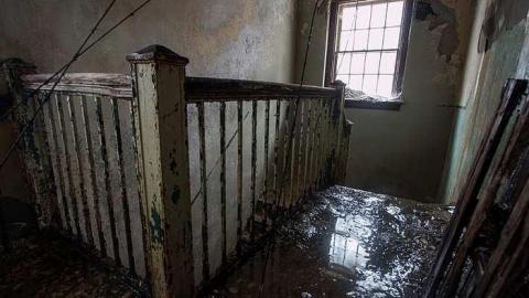 March 2015 - IMG_3830.jpg