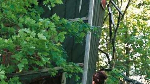 May/June 2014 - The-Works-Eagle29.jpg