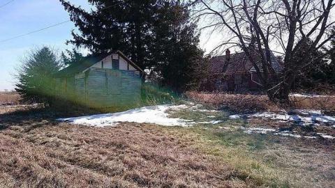 Quick Shots - aaa.jpg