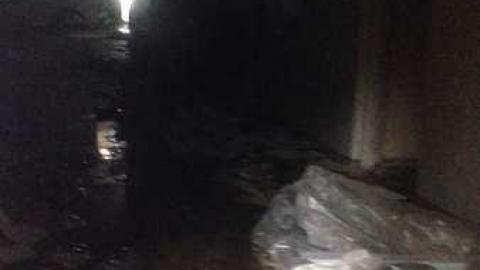 Back in 2014 - Alderwood-Collegiate-Institute147.jpg