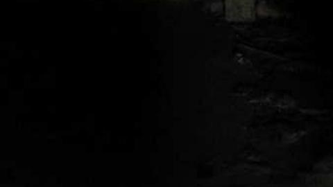 Back in 2014 - Alderwood-Collegiate-Institute149.jpg