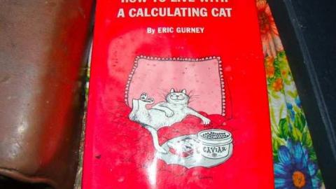 Gallery 2 - Wahnapitae-Art-Teachers-House31.jpg