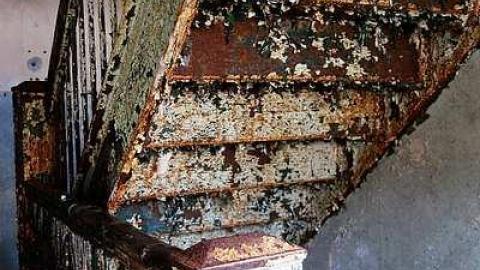 Come On In '15 - DSC02935.jpg