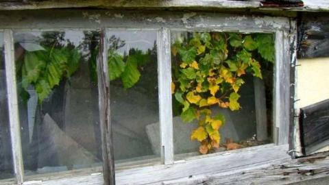 Gallery 2 - Wahnapitae-Art-Teachers-House69.jpg