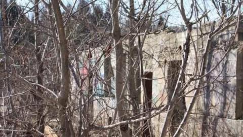 Palmer Farmstead - Valley Farm - Valley-Farm-J.-Palmer-Home57.jpg