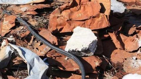 Palmer Farmstead - Valley Farm - Valley-Farm-J.-Palmer-Home61.jpg