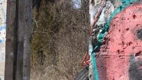 Palmer Farmstead - Valley Farm - Valley-Farm-J.-Palmer-Home63.jpg