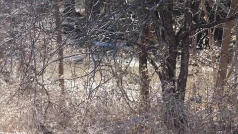 Palmer Farmstead - Valley Farm - Valley-Farm-J.-Palmer-Home65.jpg