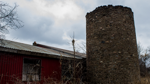 Photo from Close to Home