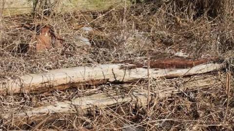 Palmer Farmstead - Valley Farm - Valley-Farm-J.-Palmer-Home42.jpg