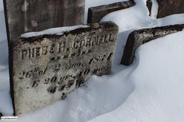 Pine Street Burying Ground photo 4