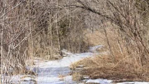 Palmer Farmstead 2 - Valley-Farm-J.-Palmer-Home51.jpg