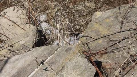 Palmer Farmstead 2 - Valley-Farm-J.-Palmer-Home52.jpg