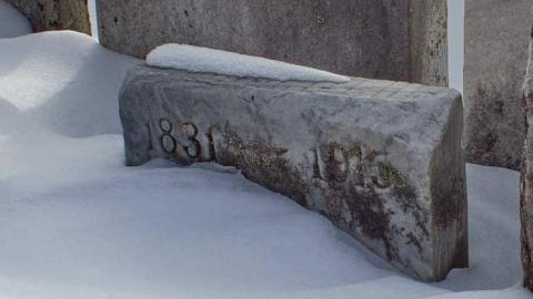 Cemetery - Pine-Street-Burying-Ground6.jpg