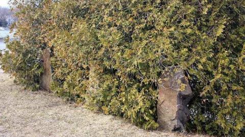 April 2014 - Landons-Twins16.jpg