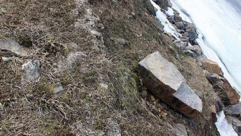 April 2014 - Landons-Twins5.jpg