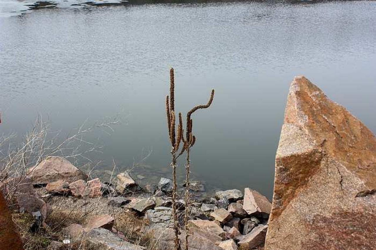 April 2014 - Landons-Twins6.jpg