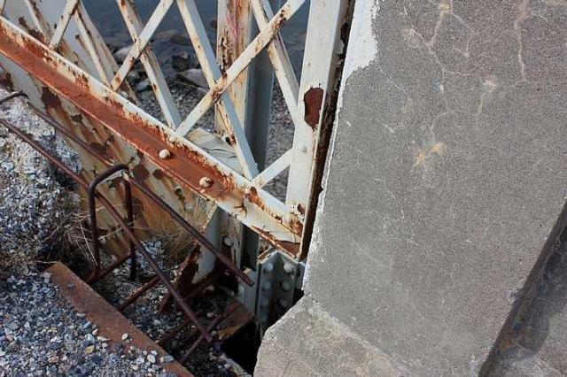 Landon's Twins photo 2