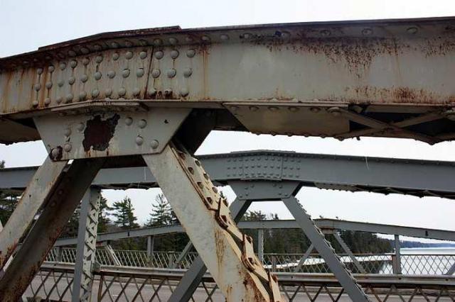 Landon's Twins photo 3