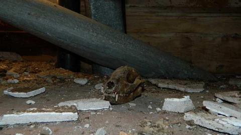 Photo from Winter 2013