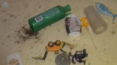 March 29th, 2015 - DSC_0552.jpg