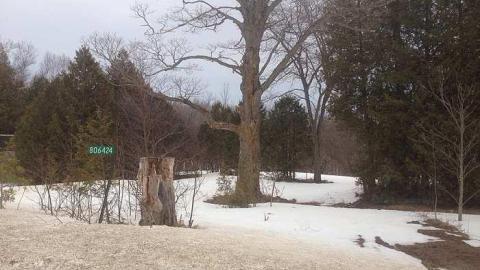 All that remains - Abandoned-or-Not-on-2522.jpg