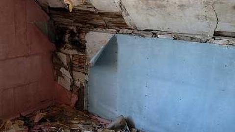 Still Standing '15 - Chatsworth69.jpg