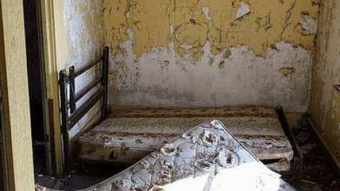 Still Standing '15 - Chatsworth60.jpg