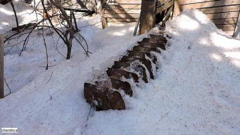 Island Ruins - Lemieux-Island64.jpg