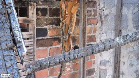 Island Ruins - Lemieux-Island71.jpg