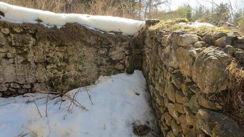 Almost Missed Them - Tiny-Foundations3.jpg