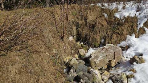 Tiny Foundations photo 3