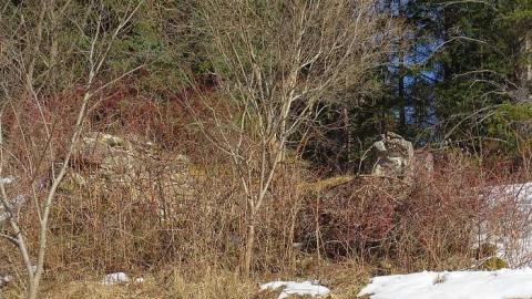 Almost Missed Them - Tiny-Foundations5.jpg