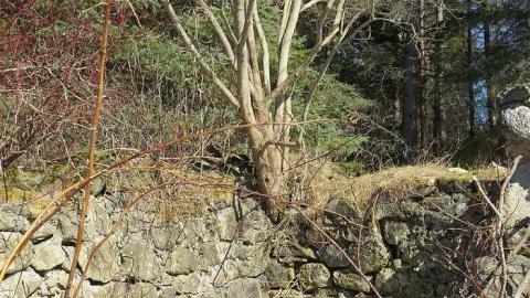 Tiny Foundations photo 4