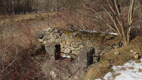 Almost Missed Them - Tiny-Foundations8.jpg