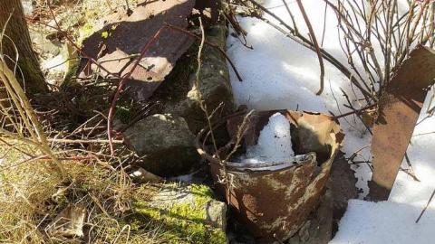 Almost Missed Them - Tiny-Foundations10.jpg