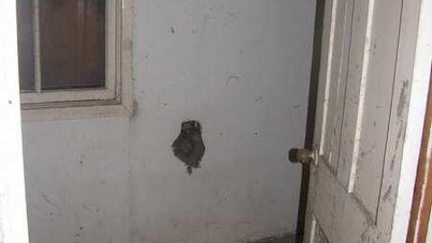 Door Wide Open - Welsh-House25.jpg