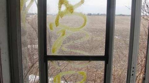 Photo from Door Wide Open