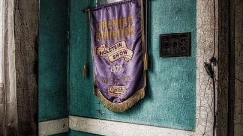 Cluttered Car-Nage photo 5