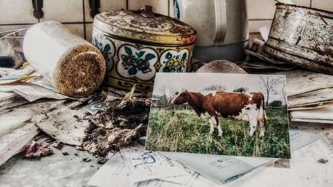 April 2nd, 2015 - DSC_0080-Edit.jpg