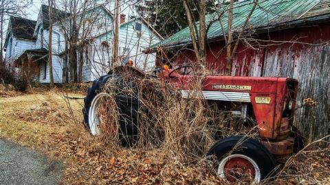 April 2nd, 2015 - DSC_0091-Edit.jpg