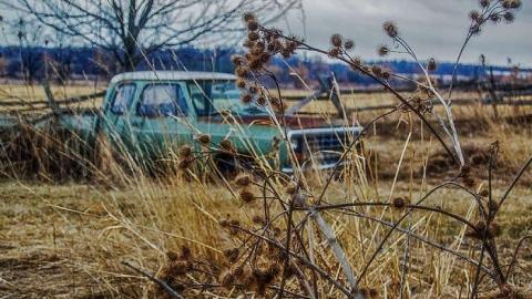 April 2nd, 2015 - DSC_0115-Edit-2-Edit.jpg