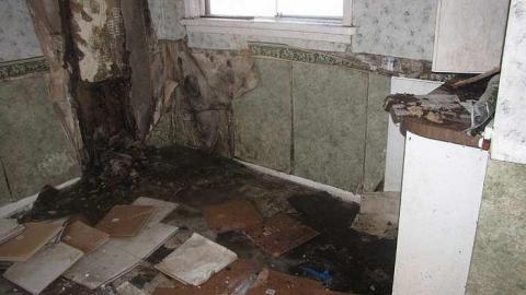 Photo from We've got ROT