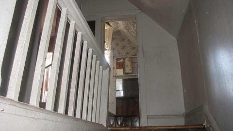 Photo from We've got ROT