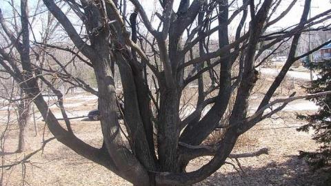 We've got ROT - Bless-This-House30.jpg