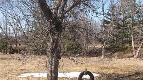 We've got ROT - Bless-This-House31.jpg